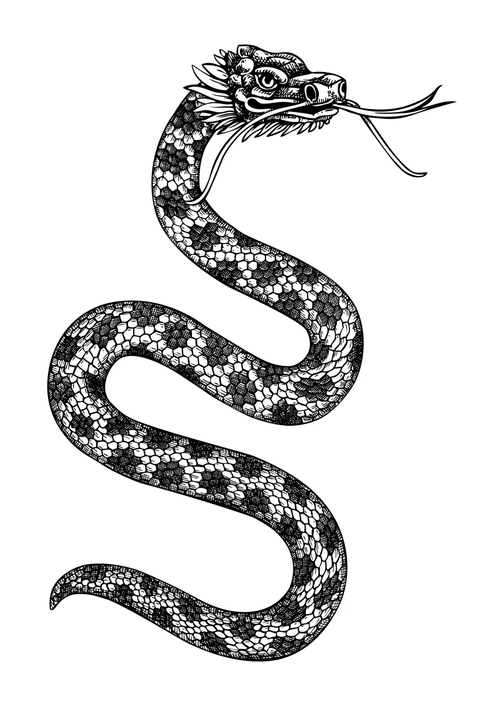 Fantastic snake hand-drawn Illustration. Chinese New Year symbol. Lunar New Year 2025. NOT AI generatad Illustration